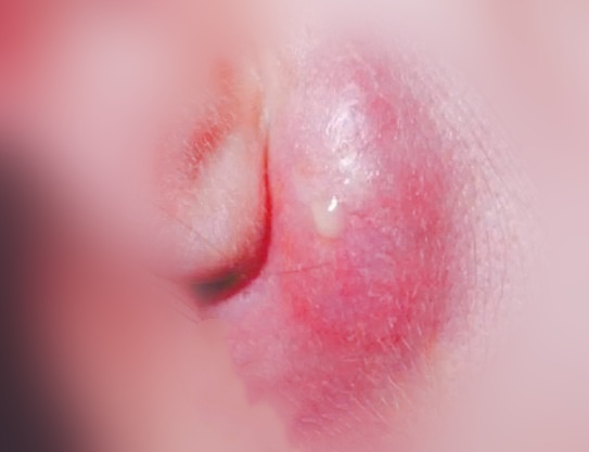 w700d1q75cms_副本.jpg