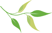 微信图片_2026-06-13_153155_654.png