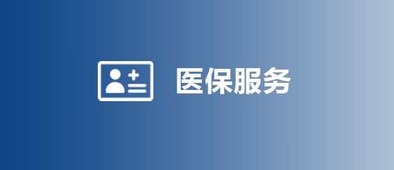 医保服务