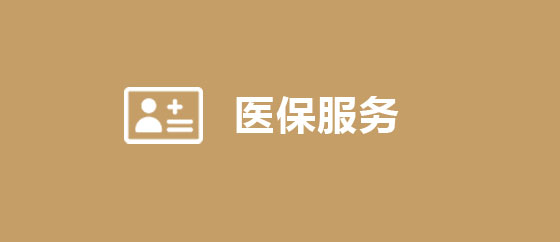 医保服务