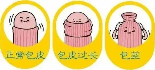 微信图片_20250729085826.jpg