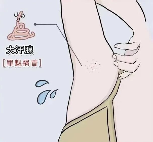 微信图片_2026-07-15_155829_022.jpg