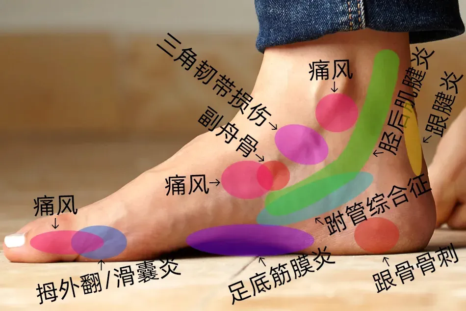 640-7.webp.png